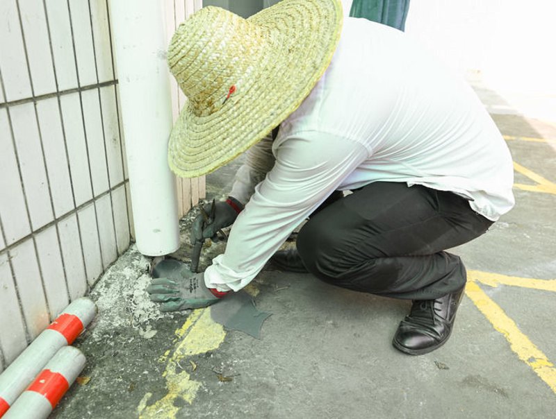 顺德妇科医院：探索女性健康的守护者